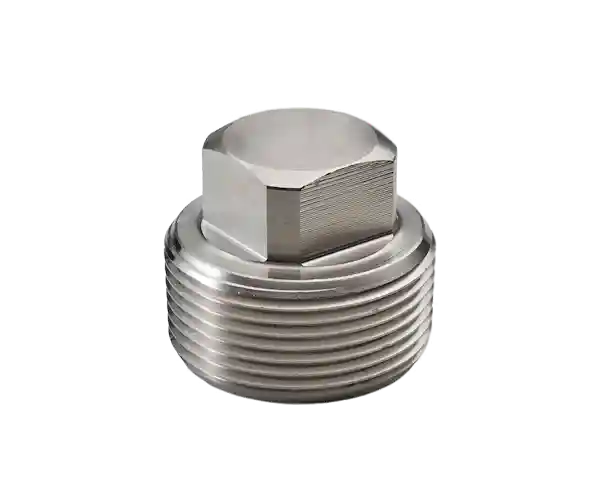 >High Pressure Stainless Steel Threaded End Square Head Plug