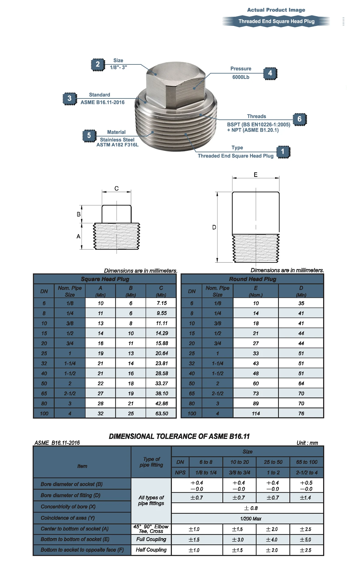 S/S BSPT Threaded End Square Head Plug Drawing