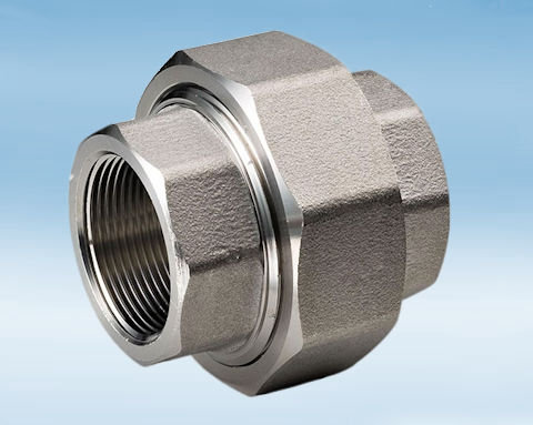 High Pressure Stainless Steel Threaded End union  316L