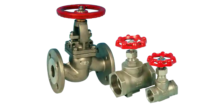 Stainless Steel globe valves