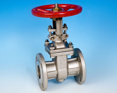 stainless steel Flanged Pattern Gate Valve DIN PN16